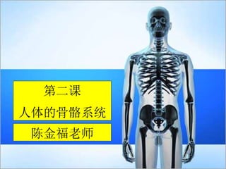 第二课
人体的骨骼系统
陈金福老师
 