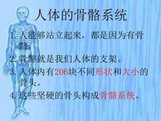 人体的骨骼系统
1.人能够站立起来，都是因为有骨
骼。
2.骨骼就是我们人体的支架。
3.人体内有206块不同形状和大小的
骨头。
4.这些坚硬的骨头构成骨骼系统。
 