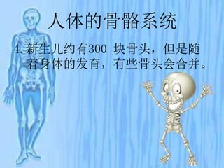 人体的骨骼系统
4.新生儿约有300 块骨头，但是随
着身体的发育，有些骨头会合并。
 