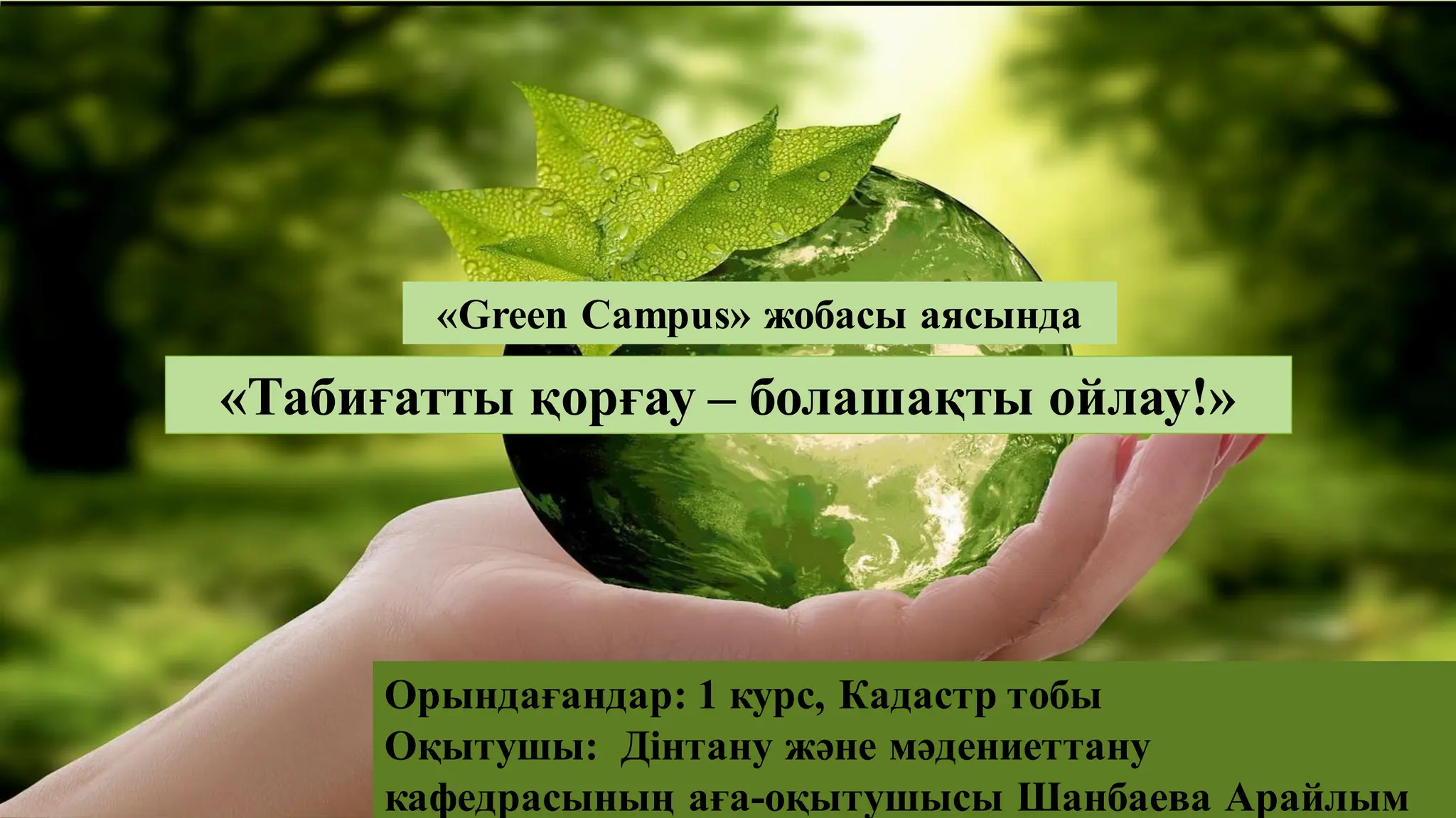 Трансвеститтік порно видеолар