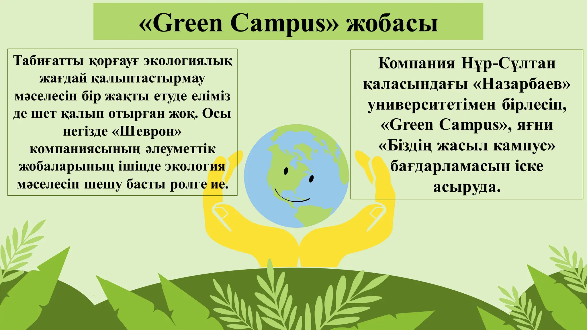 Веб-камерада кеңседе мастурбация жасау