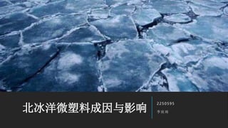 北冰洋微塑料成因与影响
2250595
李宸雨
 
