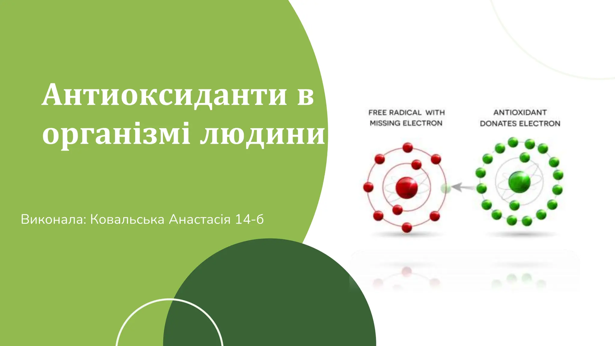 Антиоксидантні системи в організмі людини | PPT