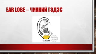 EAR LOBE – ЧИХНИЙ ГЭДЭС
 
