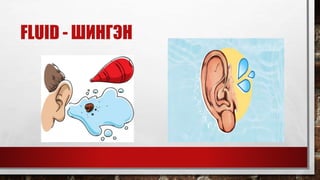 FLUID - ШИНГЭН
 
