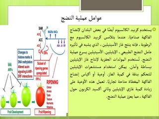 عملية نضج الثمار في النبات الدكتور كرار رأفت علوش | PPTX