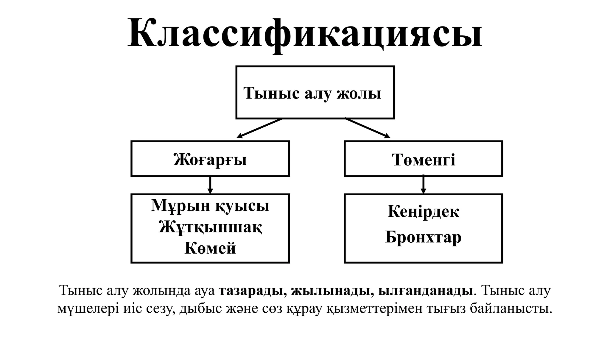 Гигпорндық бейне анулингус