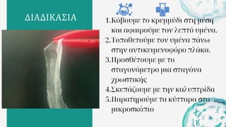 ΔΙΑΔΙΚΑΣΙΑ 1.Κόβουμε το κρεμμύδι στη μέση
και αφαιρούμε τον λεπτό υμένα.
2.Τοποθετούμε τον υμένα πάνω
στην αντικειμενοφόρο πλάκα.
3.Προσθέτουμε με το
σταγονόμετρο μια σταγόνα
χρωστικής
4.Σκεπάζουμε με την καλυπτρίδα
5.Παρατηρούμε τα κύτταρα στο
μικροσκόπιο
 