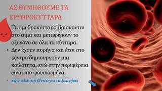 • Τα ερυθροκύτταρα βρίσκονται
στο αίμα και μεταφέρουν το
οξυγόνο σε όλα τα κύτταρα.
• Δεν έχουν πυρήνα και έτσι στο
κέντρο δημιουργούν μια
κοιλότητα, ενώ στην περιφέρεια
είναι πιο φουσκωμένα.
• κάνε κλικ στο βίντεο για να ξεκινήσει
ΑΣ ΘΥΜΗΘΟΥΜΕ ΤΑ
ΕΡΥΘΡΟΚΥΤΤΑΡΑ
 