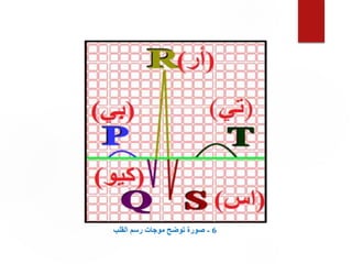 6
-
‫القلب‬ ‫رسم‬ ‫موجات‬ ‫توضح‬ ‫صورة‬
 