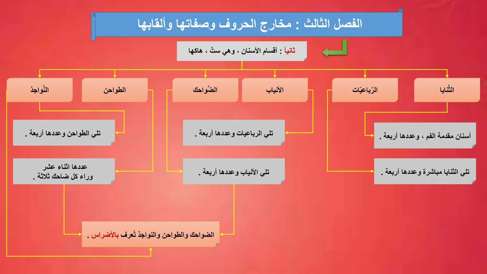 ‫نايا‬َّ‫ث‬‫ال‬
‫ات‬‫باعي‬َّ‫الر‬
‫األنياب‬
‫واحك‬َّ‫ض‬‫ال‬
‫الطواحن‬
‫واجذ‬َّ‫ن‬‫ال‬
‫أربعة‬ ‫وعددها‬ ، ‫الفم‬ ‫مقدمة‬ ‫أسنان‬
.
‫أربعة‬ ‫وعددها‬ ‫مباشرة‬ ‫الثنايا‬ ‫تلي‬
.
‫أربعة‬ ‫وعددها‬ ‫الرباعيات‬ ‫تلي‬
.
‫أربعة‬ ‫وعددها‬ ‫األنياب‬ ‫تلي‬
.
‫أربعة‬ ‫وعددها‬ ‫الطواحن‬ ‫تلي‬
.
‫عشر‬ ‫اثناء‬ ‫عددها‬
‫ثالثة‬ ‫ضاحك‬ ‫كل‬ ‫وراء‬
.
‫والنواجذ‬ ‫والطواحن‬ ‫الضواحك‬
‫عرف‬ُ‫ت‬
‫باألضراس‬
.
ً‫ا‬‫ثاني‬
:
‫هاكها‬ ، ٌ‫ست‬ ‫وهي‬ ، ‫األسنان‬ ‫أقسام‬
‫الثالث‬ ‫الفصل‬
:
‫وألقابها‬ ‫وصفاتها‬ ‫الحروف‬ ‫مخارج‬
 