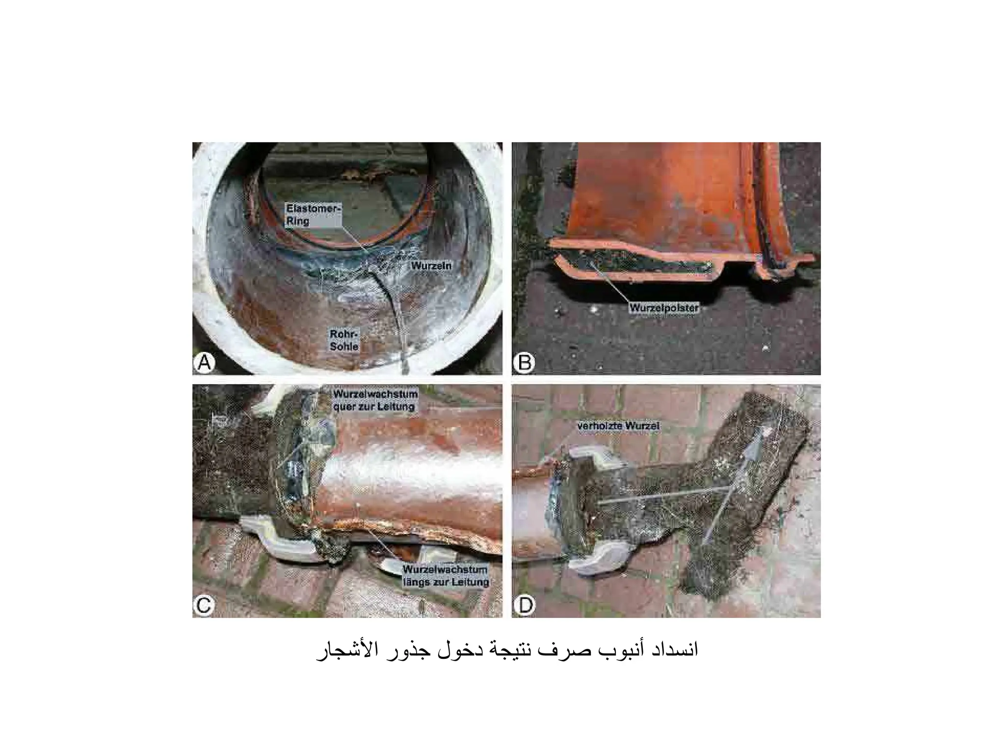 ‫ﺍﻷﺷﺠﺎﺭ‬ ‫ﺟﺬﻭﺭ‬ ‫ﺩﺧﻮﻝ‬ ‫ﻧﺘﻴﺠﺔ‬ ‫ﺻﺮﻑ‬ ‫ﺃﻧﺒﻮﺏ‬ ‫ﺍﻧﺴﺪﺍﺩ‬
 