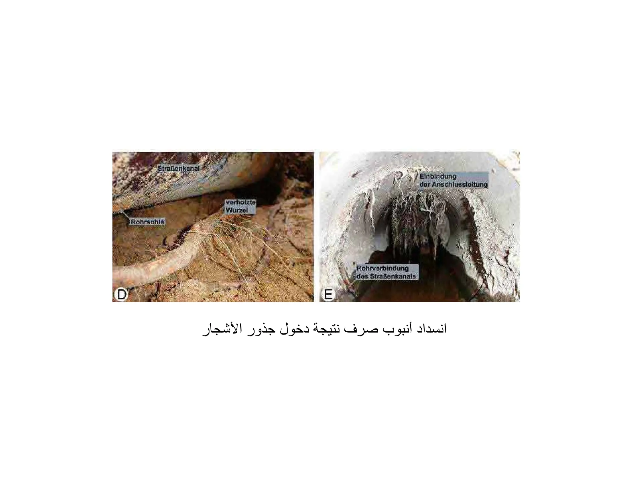 ‫ﺍﻷﺷﺠﺎﺭ‬ ‫ﺟﺬﻭﺭ‬ ‫ﺩﺧﻮﻝ‬ ‫ﻧﺘﻴﺠﺔ‬ ‫ﺻﺮﻑ‬ ‫ﺃﻧﺒﻮﺏ‬ ‫ﺍﻧﺴﺪﺍﺩ‬
 