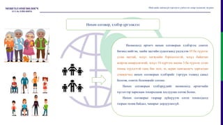 Нөлөөлөлд өртөгч нөхөн олговорын хэлбэрээс сонгох
бөгөөд нийгэм, эдийн засгийн судалгаанд үндэслэн 65 ба түүнээс
дээш настай, эсхүл хөгжлийн бэрхшээлтэй, эсхүл байнгын
асаргаа шаардлагатай, эсхүл 14 хүртэлх насны 3 ба түүнээс дээш
тооны хүүхдэтэй ганц бие эцэг, эх, асран хамгаалагч, харгалзан
дэмжигчид нөхөх олговорын хэлбэрийг тэргүүн ээлжид санал
болгож, сонгох боломжийг олгоно.
Нөхөх олговорын хэлбэрүүдийг нөлөөлөлд өртөгчийн
хүсэлтээр харилцан тохиролцож хослуулан олгож болно.
Нөхөх олговорыг газраар дүйцүүлэн олгох тохиолдолд
газрын төлөв байдал, чанарыг дордуулахгүй.
Нийгмийн зайлшгүй хэрэгцээг үндэслэн газар чөлөөлөх журам
Нөхөн олговор, хэлбэр үргэлжлэл
 