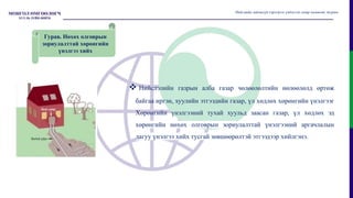 Гурав. Нөхөх олговрын
зориулалттай хөрөнгийн
үнэлгээ хийх
Нийгмийн зайлшгүй хэрэгцээг үндэслэн газар чөлөөлөх журам
 Нийслэлийн газрын алба газар чөлөөлөлтийн нөлөөлөлд өртөж
байгаа иргэн, хуулийн этгээдийн газар, үл хөдлөх хөрөнгийн үнэлгээг
Хөрөнгийн үнэлгээний тухай хуульд заасан газар, үл хөдлөх эд
хөрөнгийн нөхөх олговрын зориулалттай үнэлгээний аргачлалын
дагуу үнэлгээ хийх тусгай зөвшөөрөлтэй этгээдээр хийлгэнэ.
 