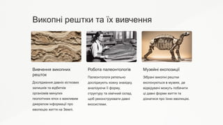 Викопні рештки та їх вивчення
Вивчення викопних
решток
Дослідження давніх кісткових
залишків та відбитків
організмів минулих
геологічних епох є важливим
джерелом інформації про
еволюцію життя на Землі.
Робота палеонтологів
Палеонтологи ретельно
досліджують кожну знахідку,
аналізуючи її форму,
структуру та хімічний склад,
щоб реконструювати давні
екосистеми.
Музейні експозиції
Зібрані викопні рештки
експонуються в музеях, де
відвідувачі можуть побачити
ці давні форми життя та
дізнатися про їхню еволюцію.
 
