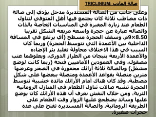 ‫صال‬ ‫إلى‬ ‫يؤدي‬ ‫مدخل‬ ‫المستديرة‬ ‫الصالة‬ ‫من‬ ‫جانب‬ ‫وعلى‬
‫ة‬
‫لتنا‬ ‫المتوفي‬ ‫أهل‬ ‫فيها‬ ‫يجتمع‬ ‫كان‬ ‫ثالثة‬ ‫مصاطب‬ ‫ذات‬
‫ول‬
‫بالذ‬ ‫الخاصة‬ ‫المناسبات‬ ‫في‬ ‫المقبرة‬ ‫زيارة‬ ‫عند‬ ‫الطعام‬
‫ات‬
‫تقريبا‬ ‫الشكل‬ ‫مربعة‬ ‫واسعة‬ ‫حجرة‬ ‫عن‬ ‫عبارة‬ ‫والصالة‬
8.50
×
9
‫م‬
.
‫مسطح‬ ‫الحجرة‬ ‫وسقف‬
(
‫المساف‬ ‫في‬ ‫يرتفع‬ ‫أي‬
‫ة‬
‫الحجرة‬ ‫تتوسط‬ ‫التي‬ ‫األعمدة‬ ‫بين‬ ‫الداخلية‬
)
‫كان‬ ‫وربما‬
‫اإلضاءة‬ ‫بئر‬ ‫تقليد‬ ‫محاولة‬ ‫االختالف‬ ‫هذا‬ ‫في‬ ‫السبب‬
‫عت‬ ‫ويعلوهما‬ ،‫الدوري‬ ‫الطراز‬ ‫من‬ ‫بتيجان‬ ‫األربعة‬ ‫واألعمدة‬
‫ب‬
‫فتحة‬ ‫األماميين‬ ‫العمودين‬ ‫وفي‬ ،‫مصقول‬
(
‫ل‬ ‫كانت‬ ‫ربما‬
‫وضع‬
‫مشغل‬
)
‫وعرض‬ ‫الصخر‬ ‫في‬ ‫محفورة‬ ‫أرائك‬ ‫ثالثة‬ ‫وبالصالة‬
‫ها‬
‫ش‬ ‫على‬ ‫ببعضها‬ ‫ومتصلة‬ ‫األعمدة‬ ‫بقواعد‬ ‫متصلة‬ ‫مترين‬
‫كل‬
‫مصطبة‬
.
‫تتوس‬ ‫خشبية‬ ‫مائدة‬ ‫األرائك‬ ‫أمام‬ ‫هناك‬ ‫كان‬ ‫وقد‬
‫ط‬
‫الروماني‬ ‫المنازل‬ ‫في‬ ‫الطعام‬ ‫تناول‬ ‫صاالت‬ ‫تشبه‬ ‫الحجرة‬
‫ة‬
‫يوض‬ ‫كان‬ ‫األرائك‬ ‫هذه‬ ‫أن‬ ‫نعرف‬ ‫النقش‬ ‫خالل‬ ‫ومن‬ ،‫الثرية‬
‫ع‬
‫على‬ ‫الطعام‬ ‫وقت‬ ‫الزوار‬ ‫عليها‬ ‫يضطجع‬ ‫وسائد‬ ‫عليها‬
‫الرومانية‬ ‫الطريقة‬
.
‫ع‬ ‫على‬ ‫تفتح‬ ‫المستديرة‬ ‫والصالة‬
‫دة‬
‫صغيرة‬ ‫حجرات‬
.
‫المآدب‬ ‫صالة‬
TRICLINIUM:
 