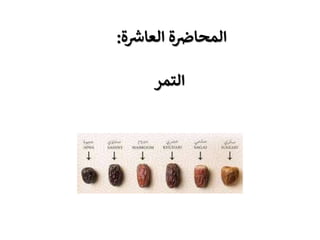 ‫ا‬
‫ة‬ ‫ر‬
‫العاش‬ ‫ة‬ ‫ر‬
‫لمحاض‬
:
‫التمر‬
 