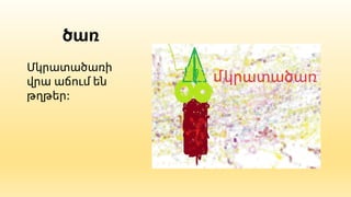 ծառ
Մկրատածառի
վրա աճում են
թղթեր:
 