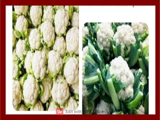 ppt ppt ppt ppt ppt ppt ತರಕಾರಿಗಳ ಮೇಳ.pdf