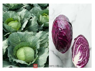 ppt ppt ppt ppt ppt ppt ತರಕಾರಿಗಳ ಮೇಳ.pdf