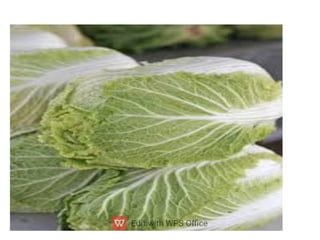 ppt ppt ppt ppt ppt ppt ತರಕಾರಿಗಳ ಮೇಳ.pdf