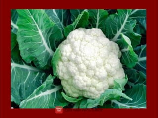 ppt ppt ppt ppt ppt ppt ತರಕಾರಿಗಳ ಮೇಳ.pdf