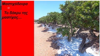 Στυλ κειμένου υποδείγματος
 Δεύτερο επίπεδο
 Τρίτο επίπεδο
 Τέταρτο επίπεδο
 Πέμπτο επίπεδο
Μαστιχόδενρα
Το δάκρυ της
μαστίχας…
51
 