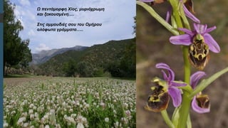  Στυλ κειμένου υποδείγματος
 Δεύτερο επίπεδο
 Τρίτο επίπεδο
 Τέταρτο επίπεδο
 Πέμπτο επίπεδο
Ω πεντάμορφη Χίος, μυριόχρωμη
και ξακουσμένη….
Στις αμμουδιές σου του Ομήρου
ολόφωτα γράμματα…..
61
 