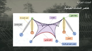 ‫المنشآت‬
‫الخيامية‬
‫المنشآت‬ ‫عناصر‬
‫الخيامية‬
:
 
