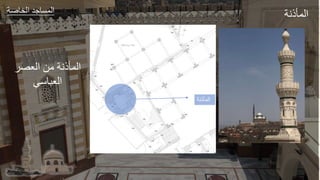 ‫عر‬ ‫الخ‬ ‫طد‬ ‫الجة‬ ‫الجأذور‬
‫المأذنة‬
‫العص‬ ‫مل‬ ‫الجأذور‬
‫صي‬ ‫الع‬
 