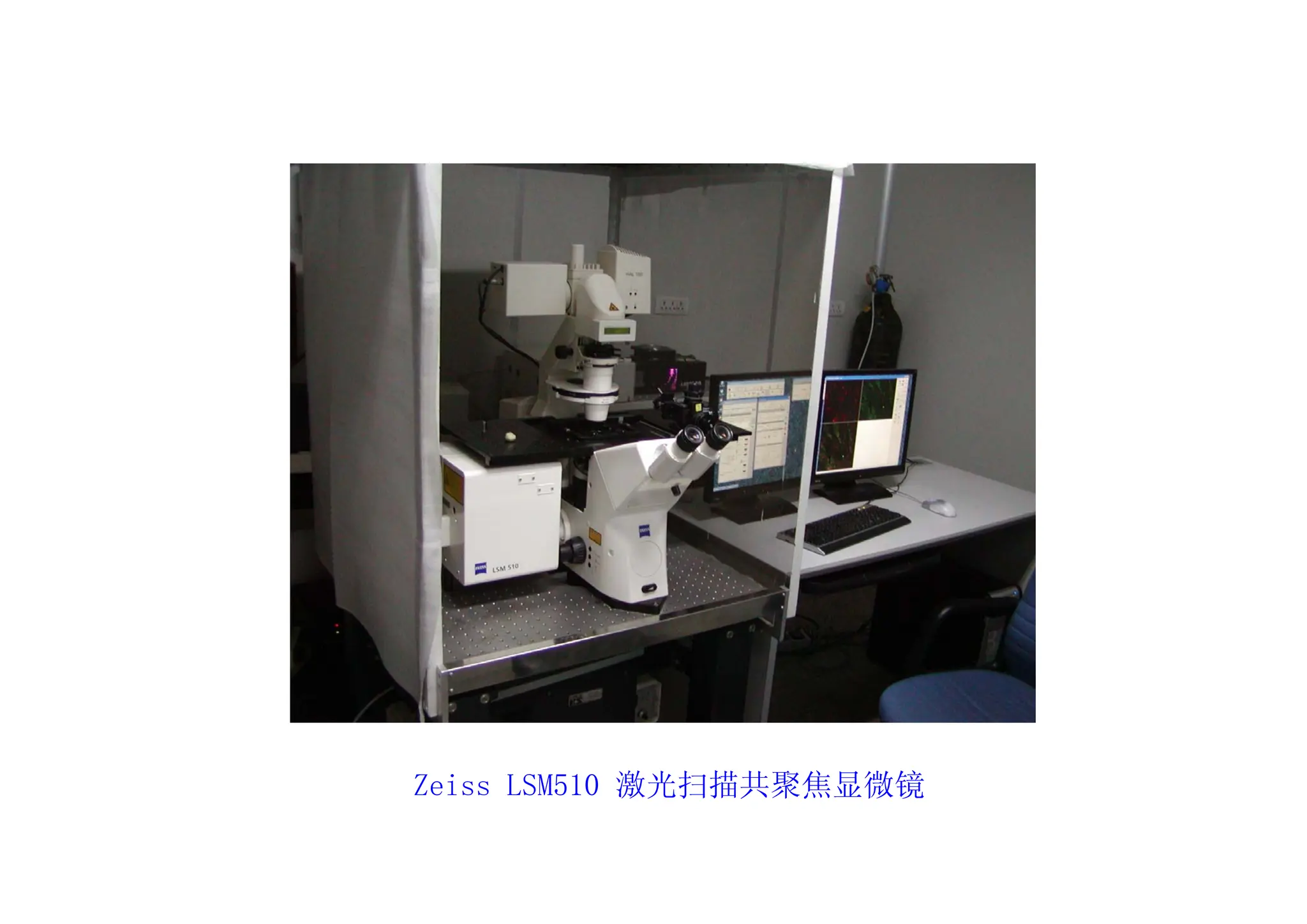 Zeiss LSM510 激光扫描共聚焦显微镜
 
