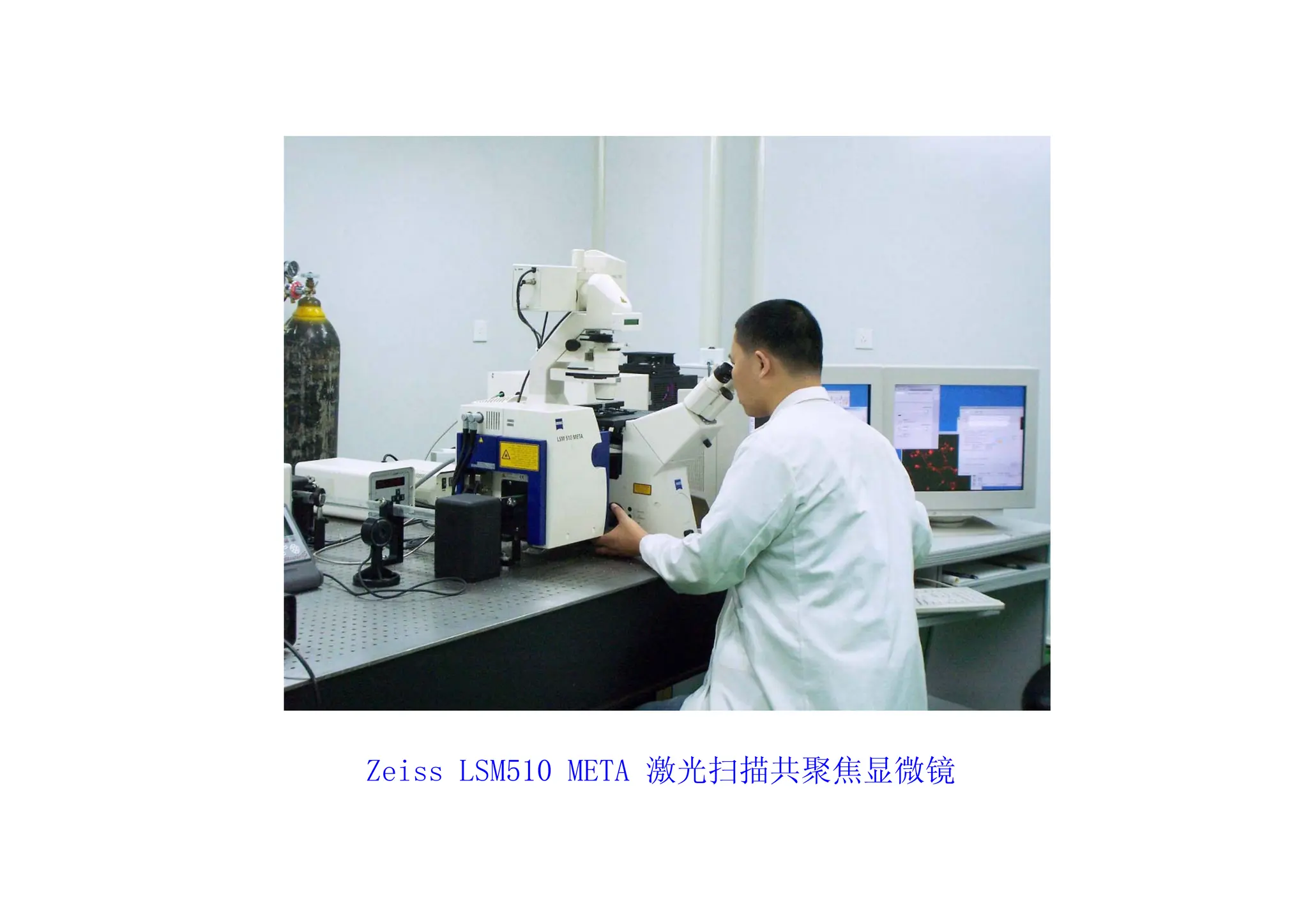Zeiss LSM510 META 激光扫描共聚焦显微镜
 