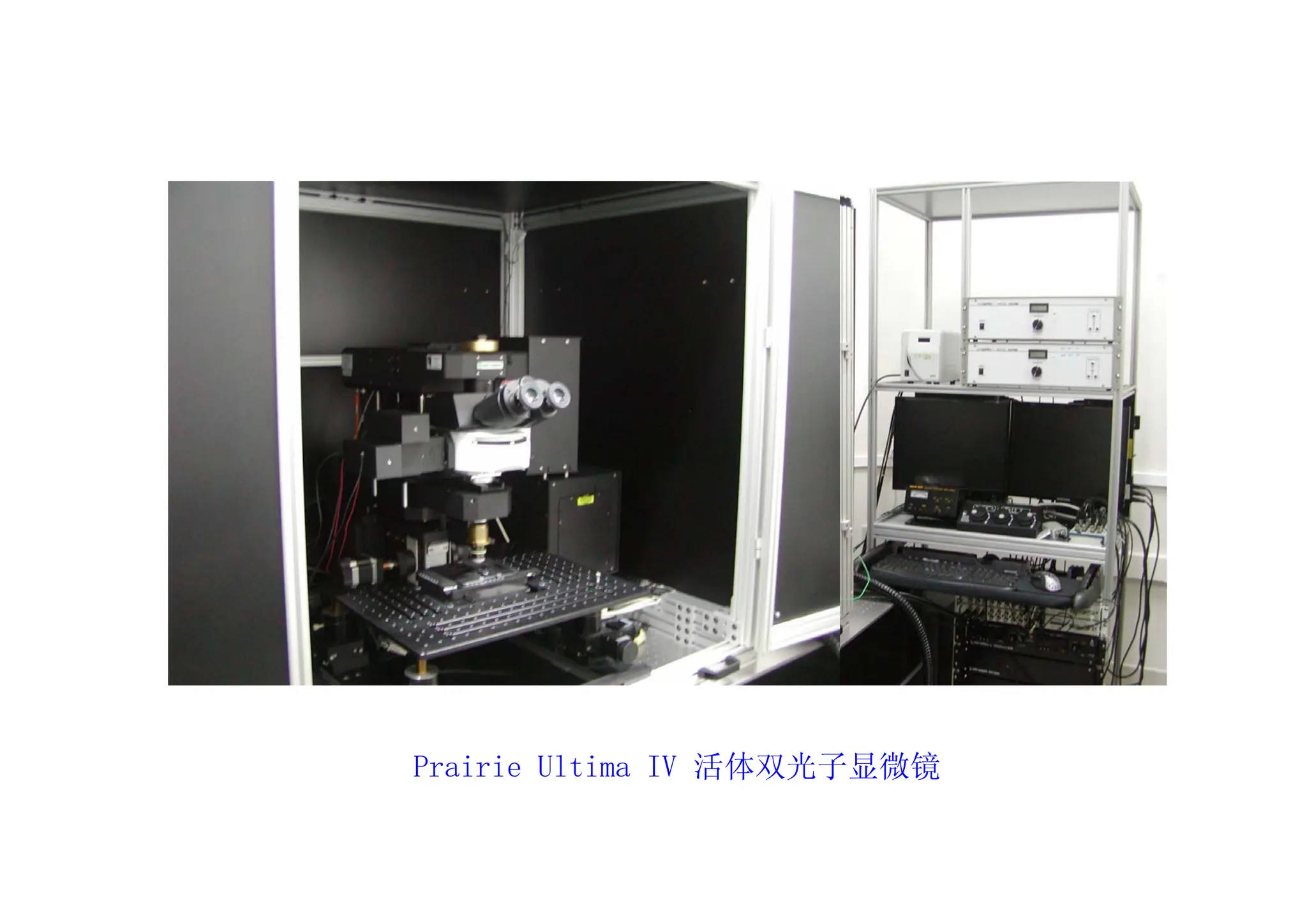 Prairie Ultima IV 活体双光子显微镜
 