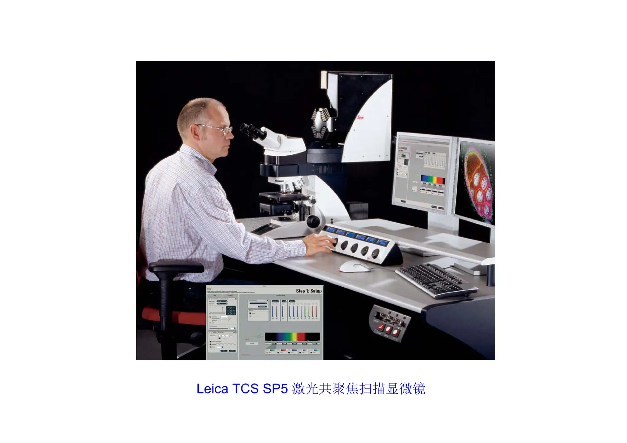 Leica TCS SP5 激光共聚焦扫描显微镜
 