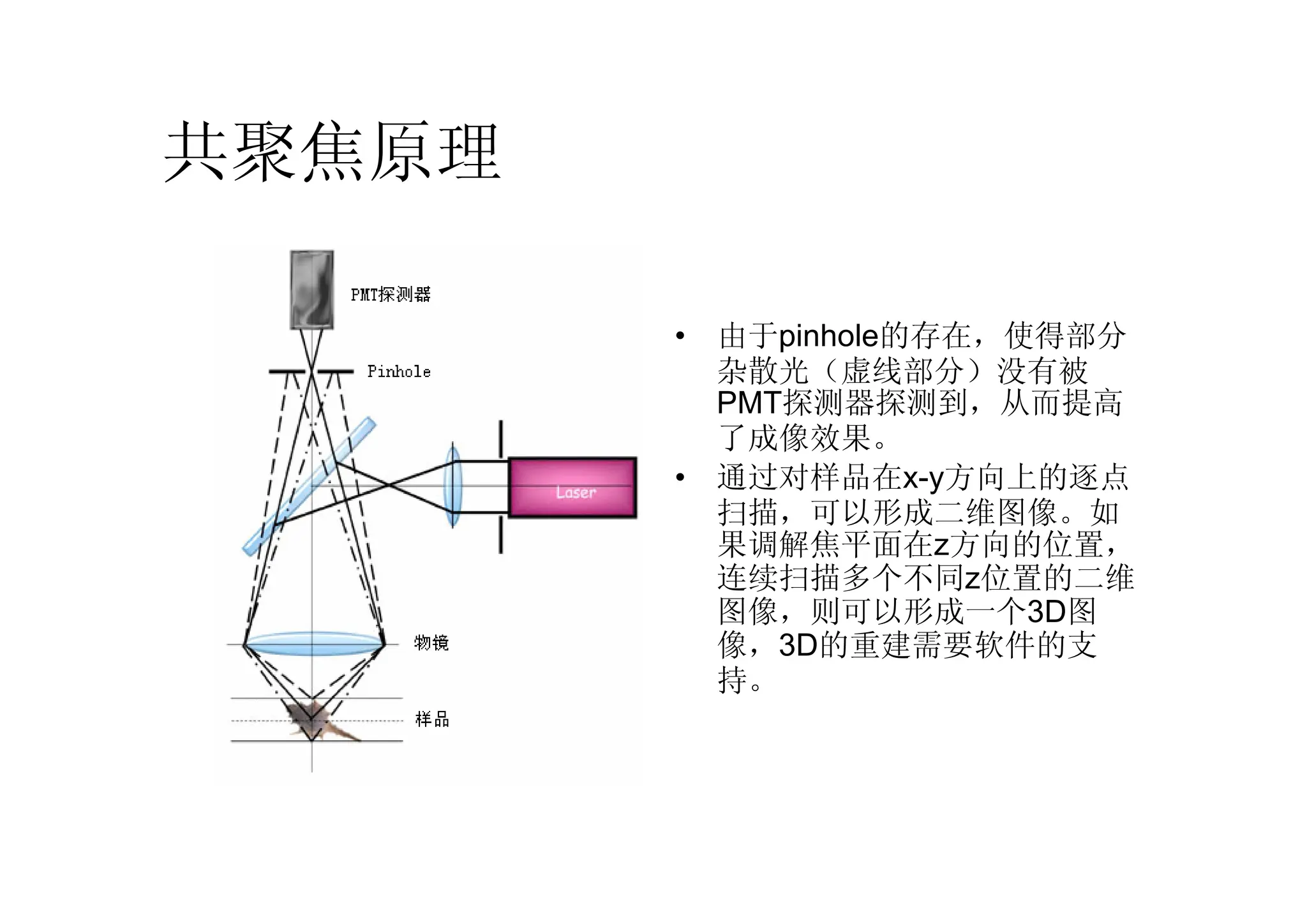 共聚焦原理
• 由于pinhole的存在，使得部分
杂散光（虚线部分）没有被
PMT探测器探测到，从而提高
了成像效果。
• 通过对样品在x-y方向上的逐点
扫描，可以形成二维图像。如
果调解焦平面在z方向的位置，
连续扫描多个不同z位置的二维
图像，则可以形成一个3D图
像，3D的重建需要软件的支
持。
 