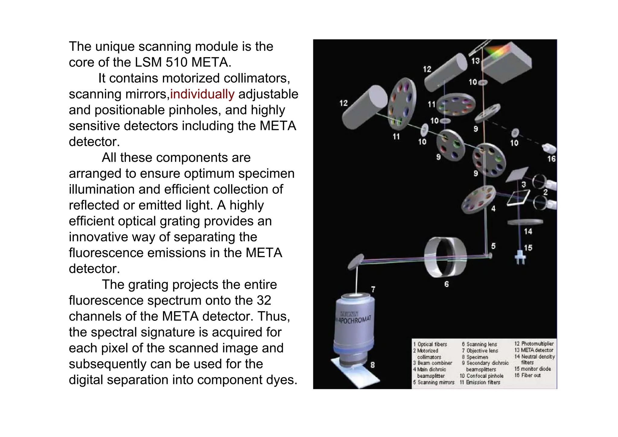The unique scanning module is the
core of the LSM 510 META.
It contains motorized collimators,
scanning mirrors,individually adjustable
and positionable pinholes, and highly
sensitive detectors including the META
detector.
All these components are
arranged to ensure optimum specimen
illumination and efficient collection of
reflected or emitted light. A highly
efficient optical grating provides an
innovative way of separating the
fluorescence emissions in the META
detector.
The grating projects the entire
fluorescence spectrum onto the 32
channels of the META detector. Thus,
the spectral signature is acquired for
each pixel of the scanned image and
subsequently can be used for the
digital separation into component dyes.
 