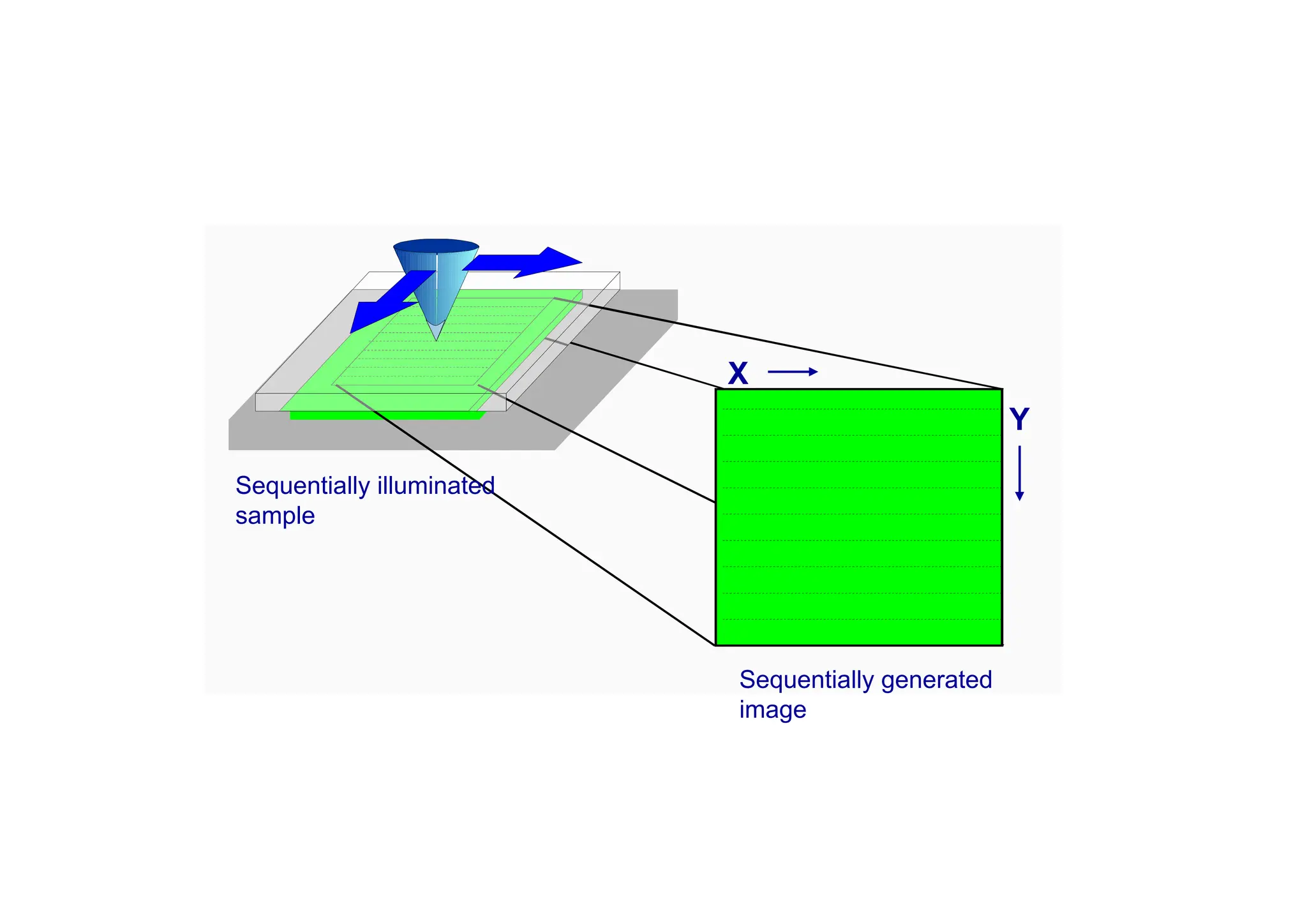 X
Y
Sequentially illuminated
sample
Sequentially generated
image
 