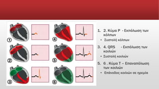 1. 2. Κύμα P - Εκπόλωση των
κόλπων
▪ Συστολή κόλπων
3. 4. QRS - Εκπόλωση των
κοιλιών
▪ Συστολή κοιλιών
5. 6 . Κύμα T – Επαναπόλωση
των κοιλιών
▪ Επάνοδος κοιλιών σε ηρεμία
 