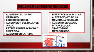 MECANISMOS FISIOPATOLÓGICOS
o AUMENTO DEL GASTO
CARDIACO.
o EXCESO DE SODIO.
o ALTERACIÓN DEL BALANCE
R-A-A.
o ESTRÉS E HIPERACTIVIDAD
SIMPÁTICA.
o AUMENTO EN LA R.P.T.
o HIPERTROFIA VASCULAR.
o ALTERACIONES DE LA
MEMBRANA CELULAR.
o AUMENTO DE CALCIO
INTRACELULAR.
o TRASTORNOS
METABOLICOS.
 