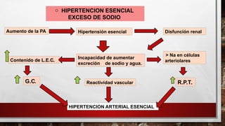 o HIPERTENCION ESENCIAL
EXCESO DE SODIO
Aumento de la PA Hipertensión esencial Disfunción renal
Contenido de L.E.C.
Incapacidad de aumentar
excreción de sodio y agua.
> Na en células
arteriolares
G.C. Reactividad vascular R.P.T.
HIPERTENCION ARTERIAL ESENCIAL
 