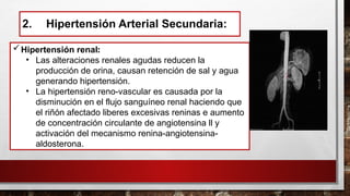 2. Hipertensión Arterial Secundaria:
Hipertensión renal:
• Las alteraciones renales agudas reducen la
producción de orina, causan retención de sal y agua
generando hipertensión.
• La hipertensión reno-vascular es causada por la
disminución en el flujo sanguíneo renal haciendo que
el riñón afectado liberes excesivas reninas e aumento
de concentración circulante de angiotensina ll y
activación del mecanismo renina-angiotensina-
aldosterona.
 