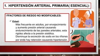 1. HIPERTENSIÓN ARTERIAL PRIMARIA( ESENCIAL):
FACTORES DE RIESGO NO MODIFICABLES:
 Edad:
• Más frecuente en adultos, por envejecimiento
• y aumento presión arterial causando
endurecimiento de las paredes arteriales; esta
rigidez afecta a la presión sistólica.
• Disminuye la excreción de sodio en los riñones
por ende hay retención causando hipertensión.
 