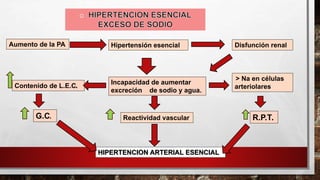 Aumento de la PA Hipertensión esencial Disfunción renal
Contenido de L.E.C.
Incapacidad de aumentar
excreción de sodio y agua.
> Na en células
arteriolares
G.C. Reactividad vascular R.P.T.
HIPERTENCION ARTERIAL ESENCIAL
 