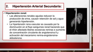 ✓ Hipertensión renal:
• Las alteraciones renales agudas reducen la
producción de orina, causan retención de sal y agua
generando hipertensión.
• La hipertensión reno-vascular es causada por la
disminución en el flujo sanguíneo renal haciendo que
el riñón afectado liberes excesivas reninas e aumento
de concentración circulante de angiotensina ll y
activación del mecanismo renina-angiotensina-
aldosterona.
 
