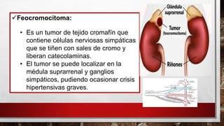 ✓Feocromocitoma:
• Es un tumor de tejido cromafín que
contiene células nerviosas simpáticas
que se tiñen con sales de cromo y
liberan catecolaminas.
• El tumor se puede localizar en la
médula suprarrenal y ganglios
simpáticos, pudiendo ocasionar crisis
hipertensivas graves.
 