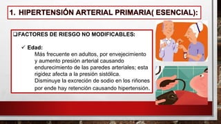 ❑FACTORES DE RIESGO NO MODIFICABLES:
✓ Edad:
• Más frecuente en adultos, por envejecimiento
• y aumento presión arterial causando
endurecimiento de las paredes arteriales; esta
rigidez afecta a la presión sistólica.
• Disminuye la excreción de sodio en los riñones
por ende hay retención causando hipertensión.
 