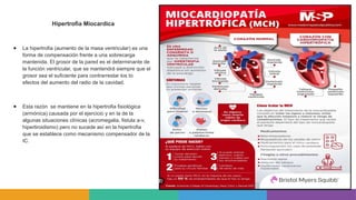 Hipertrofia Miocardica
● La hipertrofia (aumento de la masa ventricular) es una
forma de compensación frente a una sobrecarga
mantenida. El grosor de la pared es el determinante de
la función ventricular, que se mantendrá siempre que el
grosor sea el suficiente para contrarrestar los to
efectos del aumento del radio de la cavidad.
● Esta razón se mantiene en la hipertrofia fisiológica
(armónica) causada por el ejercicio y en la de la
algunas situaciones clínicas (acromegalia, fistula a-v,
hipertiroidismo) pero no sucede así en la hipertrofia
que se establece como mecanismo compensador de la
IC.
 