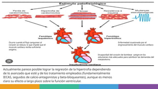 Actualmente parece posible lograr la regresión de la hipertrofia dependiendo
de lo avanzado que esté y de los tratamiento empleados (fundamentalmente
IECAS, seguidos de calcio-antagonistas y beta-bloqueantes), aunque es menos
claro su efecto a largo plazo sobre la función ventricular.
Ocurre cuando el flujo sanguineo al
corazón se reduce, lo que impide que el
musculo cardiaco reciba suficiente
oxigeno.
Enfermedad ocasionada por el
engrossamiento del musculo cardiaco
Incapacidad del corazón de bombear sangre en los
volumenes más adecuados para satisfacer las demandas del
metabolismo
 