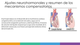 Ajustes neurohormonales y resumen de los
mecanismos compensatorios
El principio básico en el desarrollo de la insuficiencia cardiaca
congestiva (ICC), es la retención de sodio y agua con la
consecuente congestión pulmonar y edema periférico. El exceso
de volumen de líquido corporal que surge como resultado de la
disfunción ventricular, es el factor principal del sindrome clínico
denominado ICC.
 